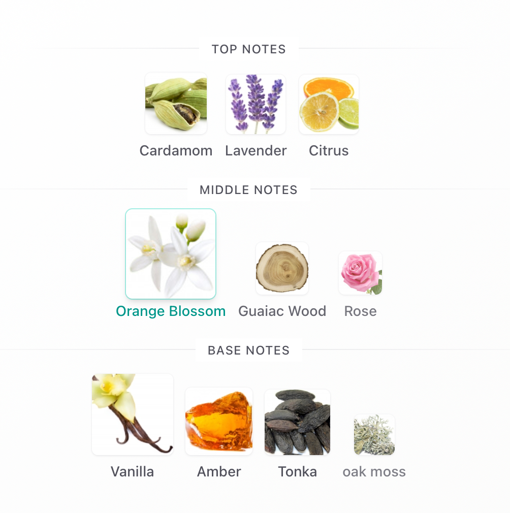 Liquid Brun Limited Edition - 1ml Sample Decant