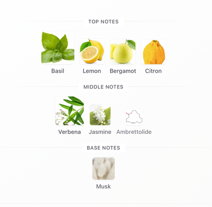 Voux Zingy - 1ml Sample Decant