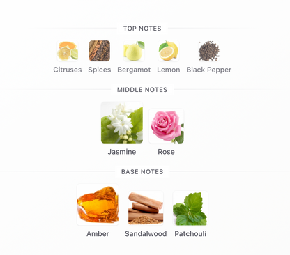 Modernity - 1ml Sample Decant